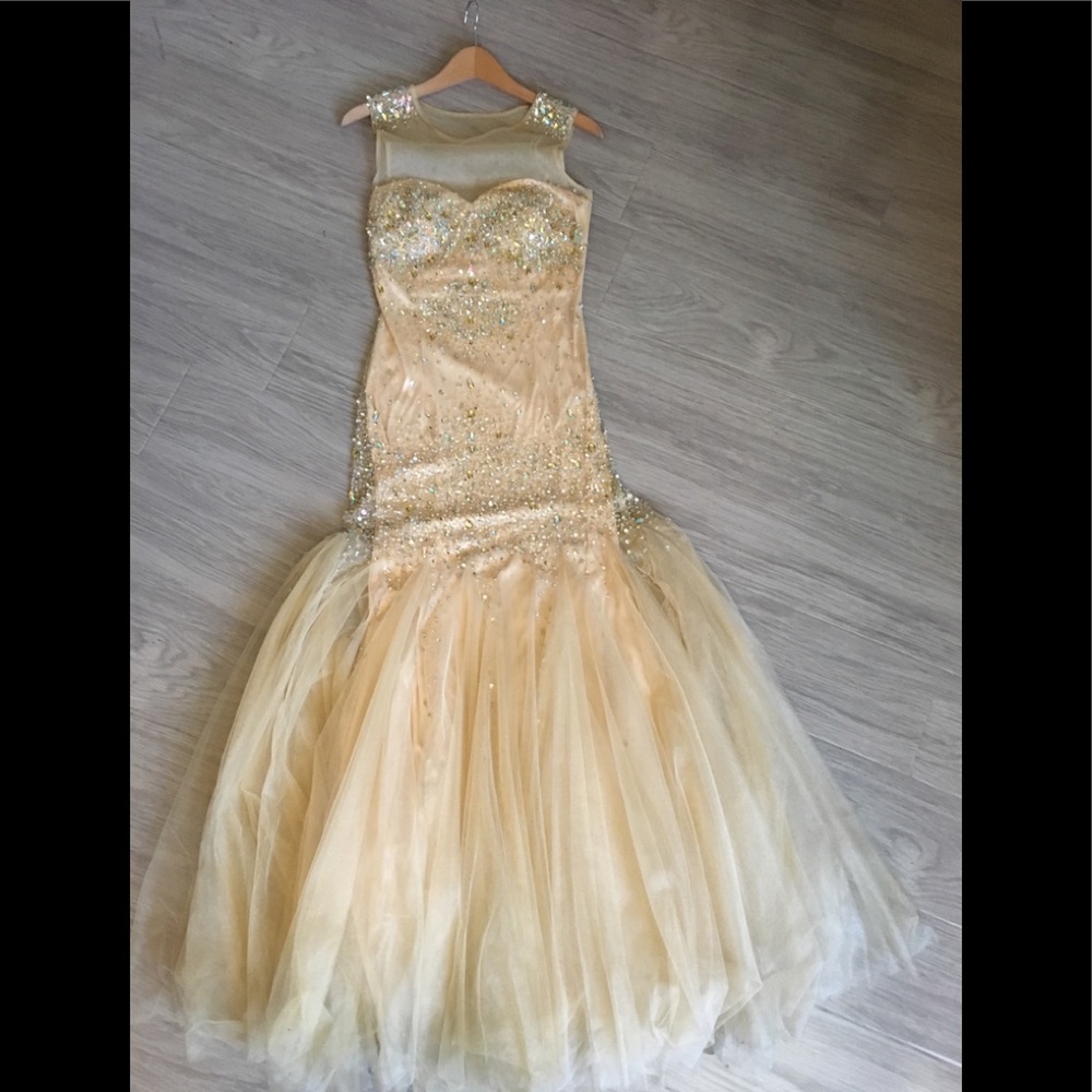 ✨Gorgeous Embelished Dress